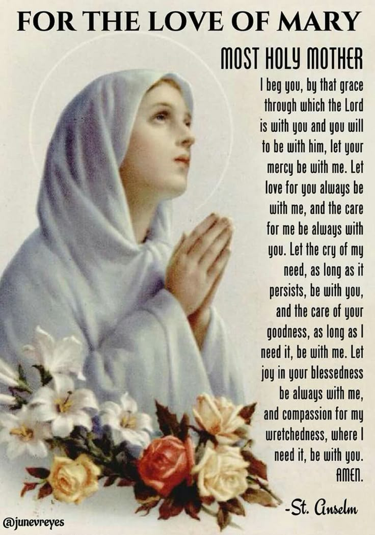 Mary Prayers, Lady Picture, Hail Mary Prayer, Thanksgiving Prayer, Blessed Mary, Novena Prayers, Mary Mother Of God, Religious Pictures, Mama Mary