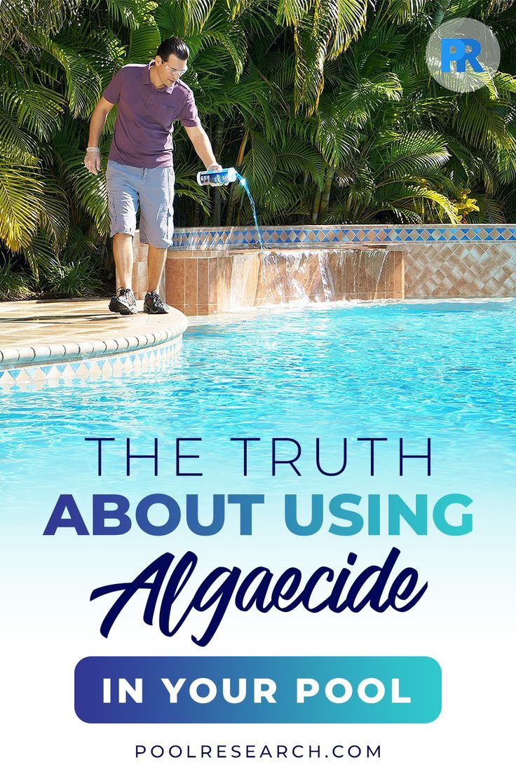 the truth about using algaeicide in your pool