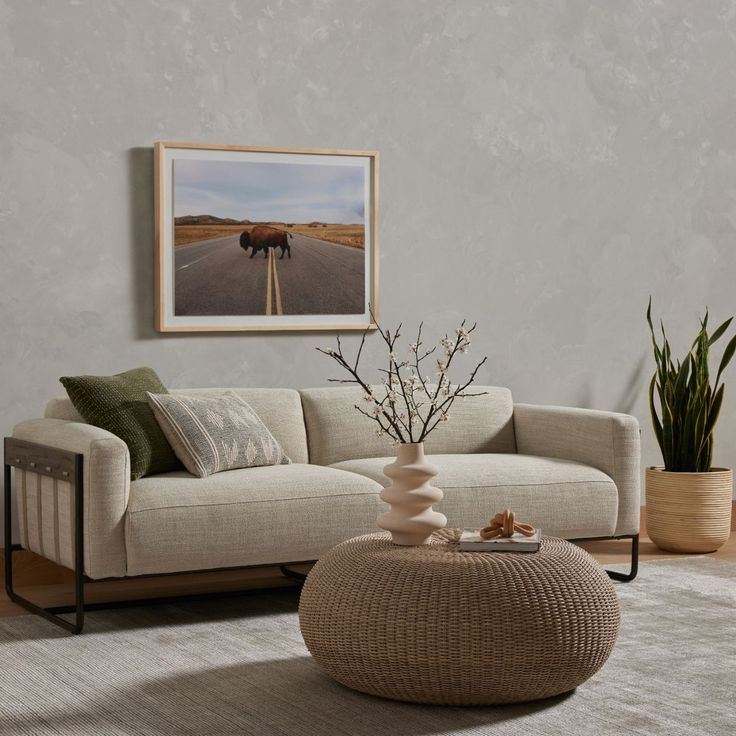 a living room with a couch, coffee table and potted plant in the corner