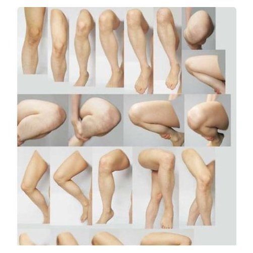 an image of different types of legs and feet