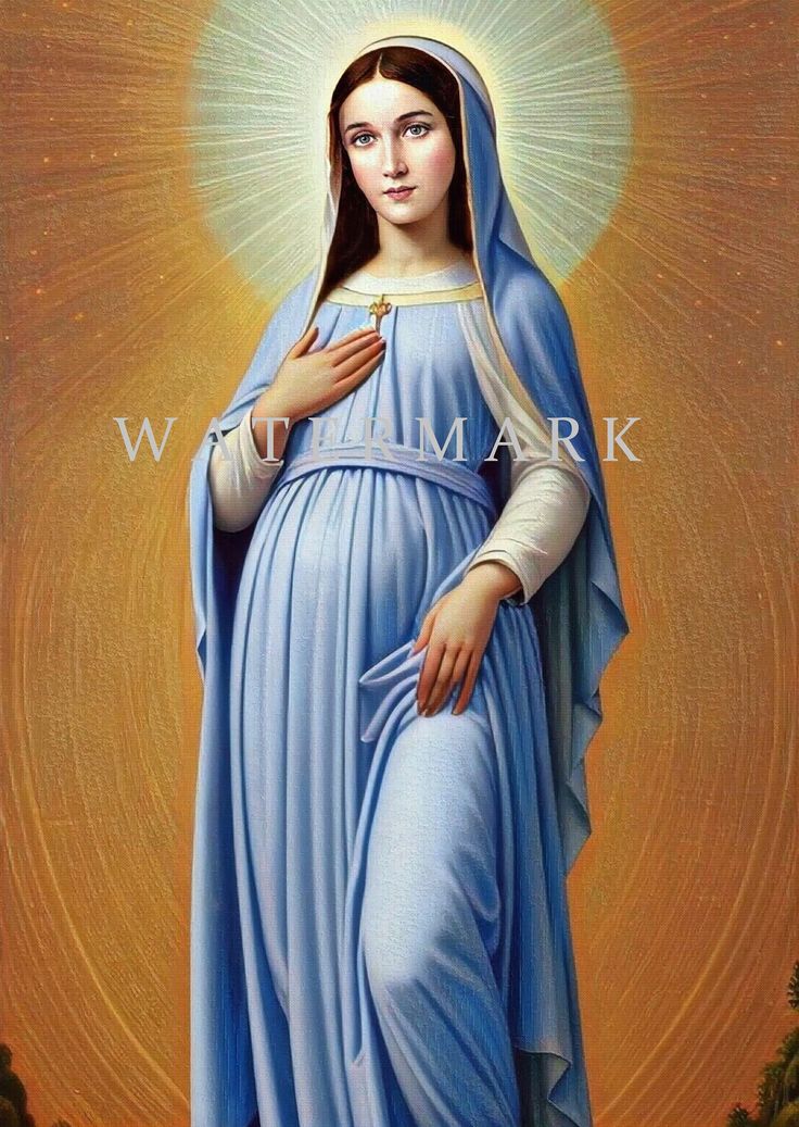 the immaculate mary in blue dress