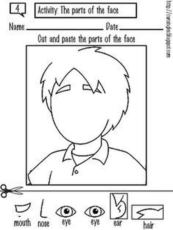 Body Parts Worksheet Kindergarten