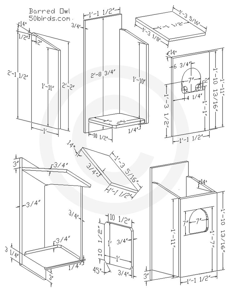 Barred Owl Nest Box Plans - 70birds | Owl birdhouse, Bird houses ideas ...