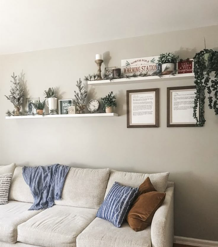 a living room filled with lots of furniture and plants on top of the shelves over the couch