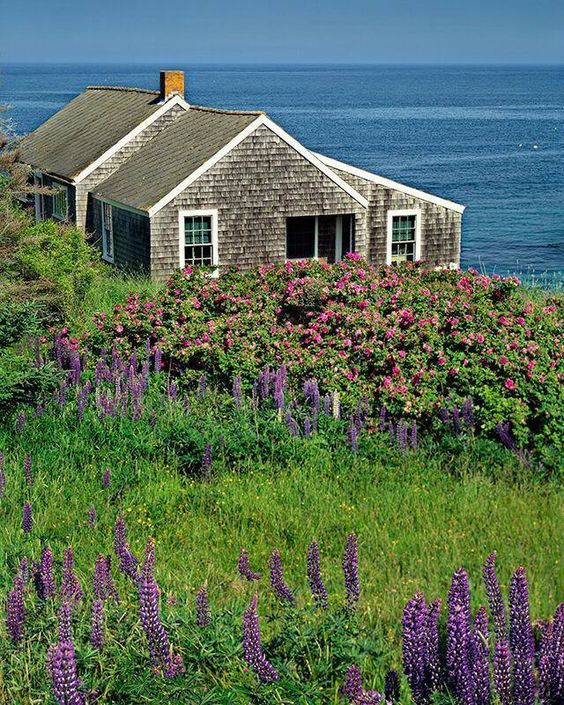 an old house sitting on top of a lush green hillside next to the ocean with purple flowers