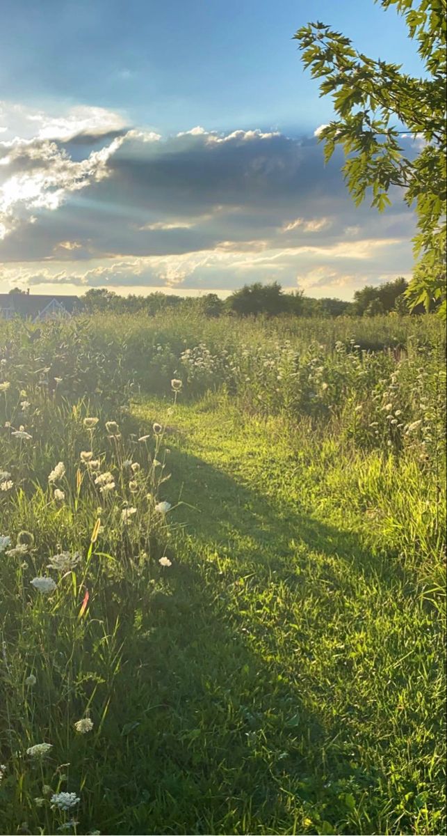 the sun shines brightly through the clouds over a grassy field with wildflowers