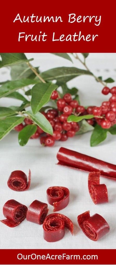 some cranberry fruit leathers and leaves on a white cloth with text overlay that says autumn berry fruit leather