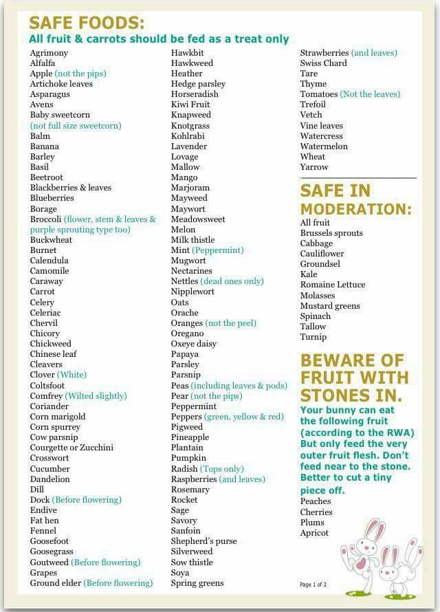 a poster with some words on it that say safe foods and other things to eat