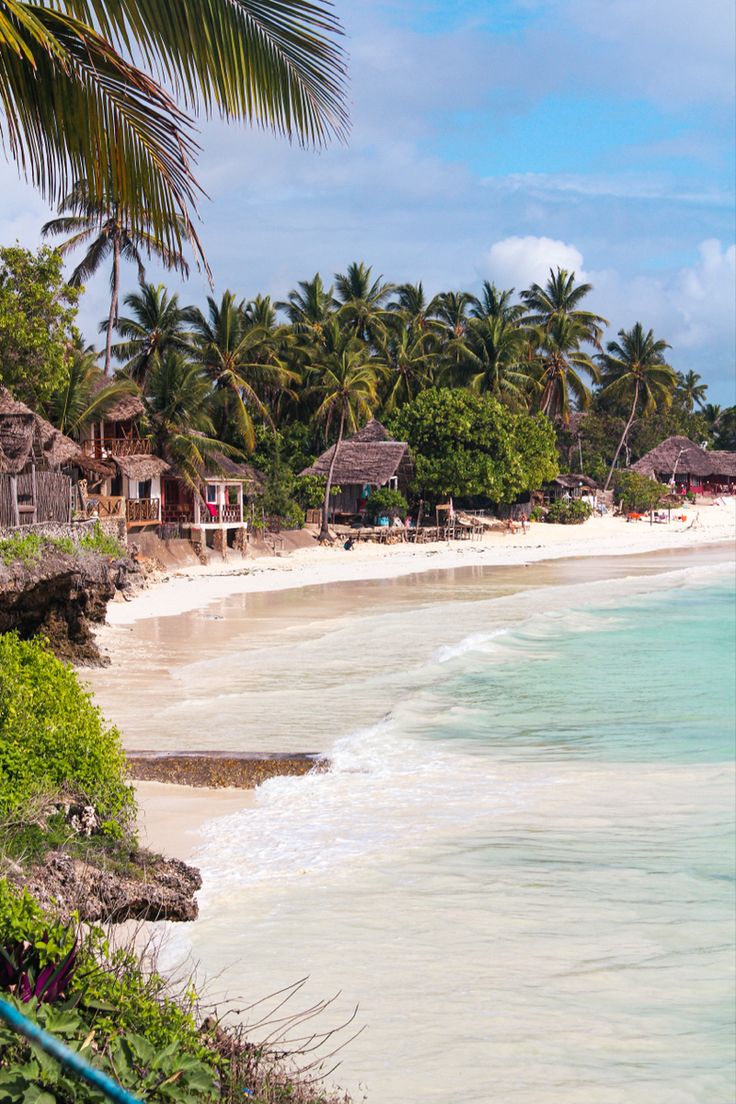 the beach is lined with palm trees and thatched huts