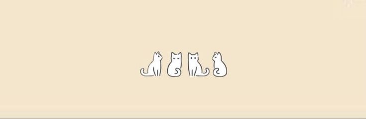 three cats sitting on top of each other in front of a wall with the words, cat