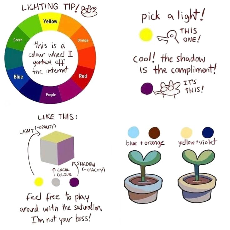 the color wheel is shown with different things to draw on it, including plants and colors