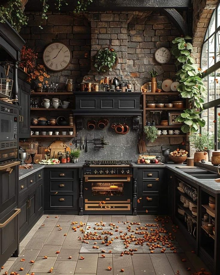 a kitchen with lots of pots and pans on the stove top, shelves filled with plants