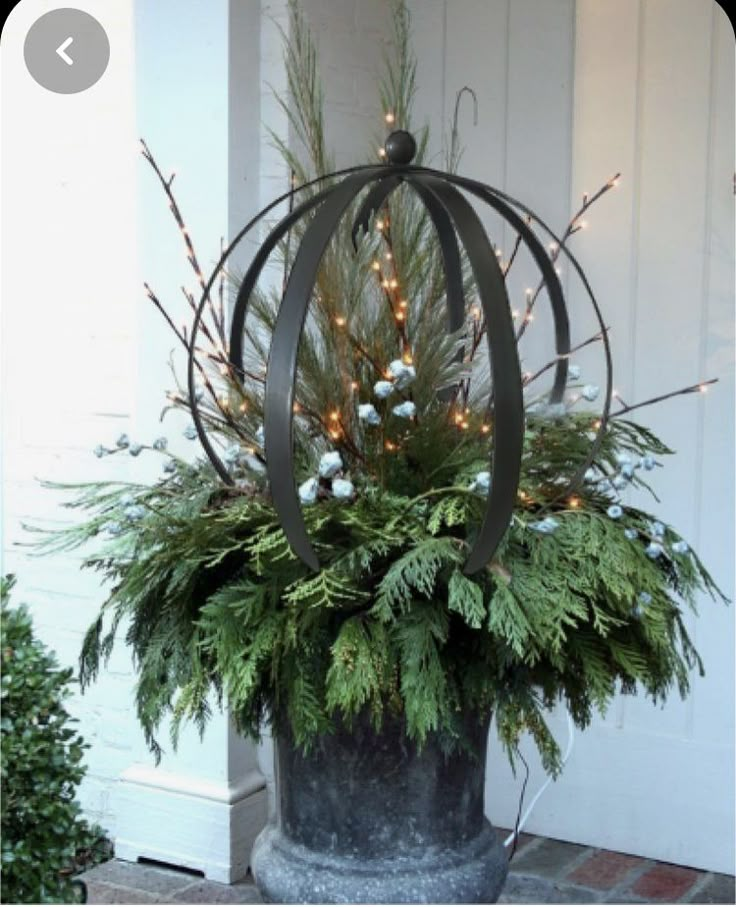 a potted plant with christmas lights in it