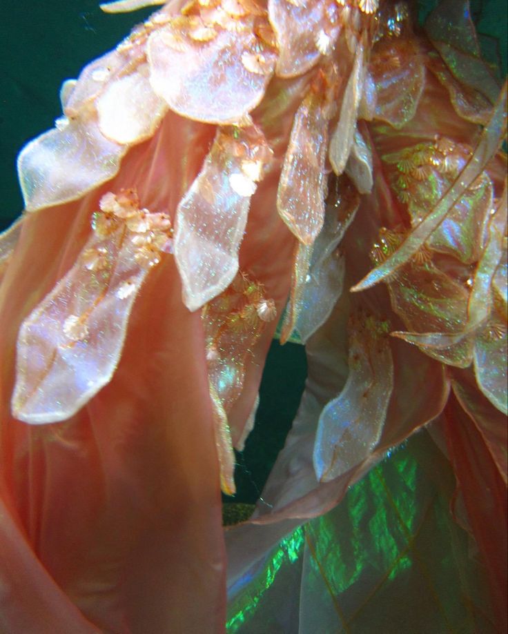 an orange flower with lots of water droplets on it's petals in the sunlight