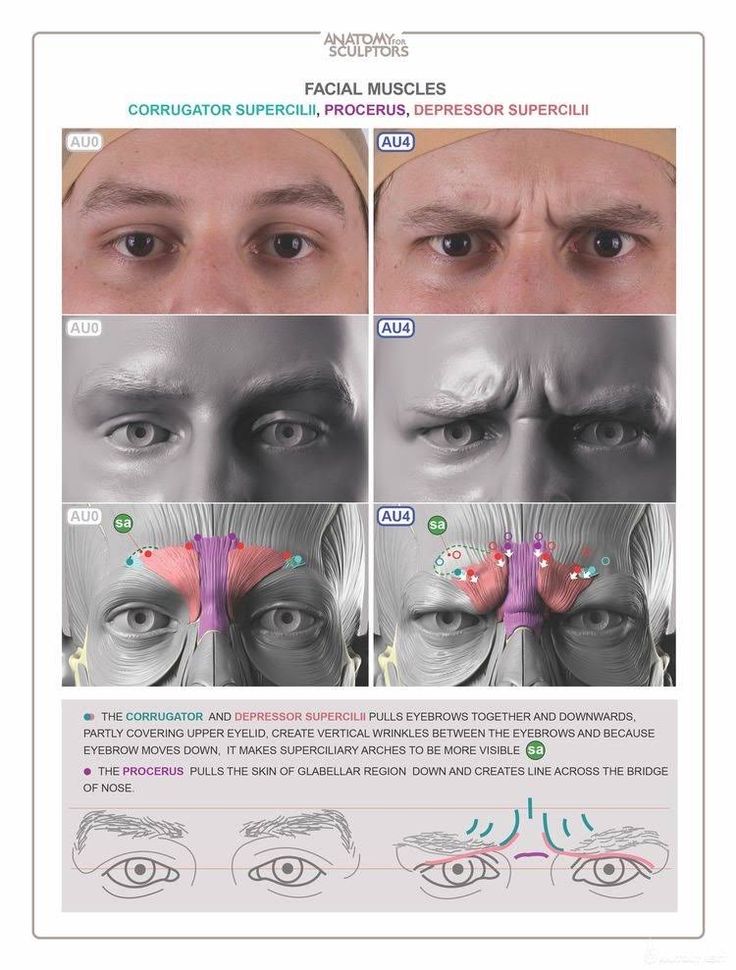 an image of different facial muscles and their corresponding functions in the human body, with instructions on how to use them