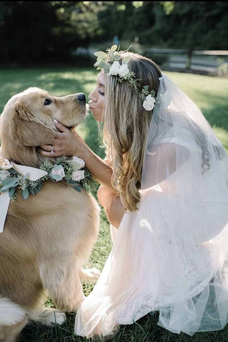 a bride and her golden retriever are sitting in the grass