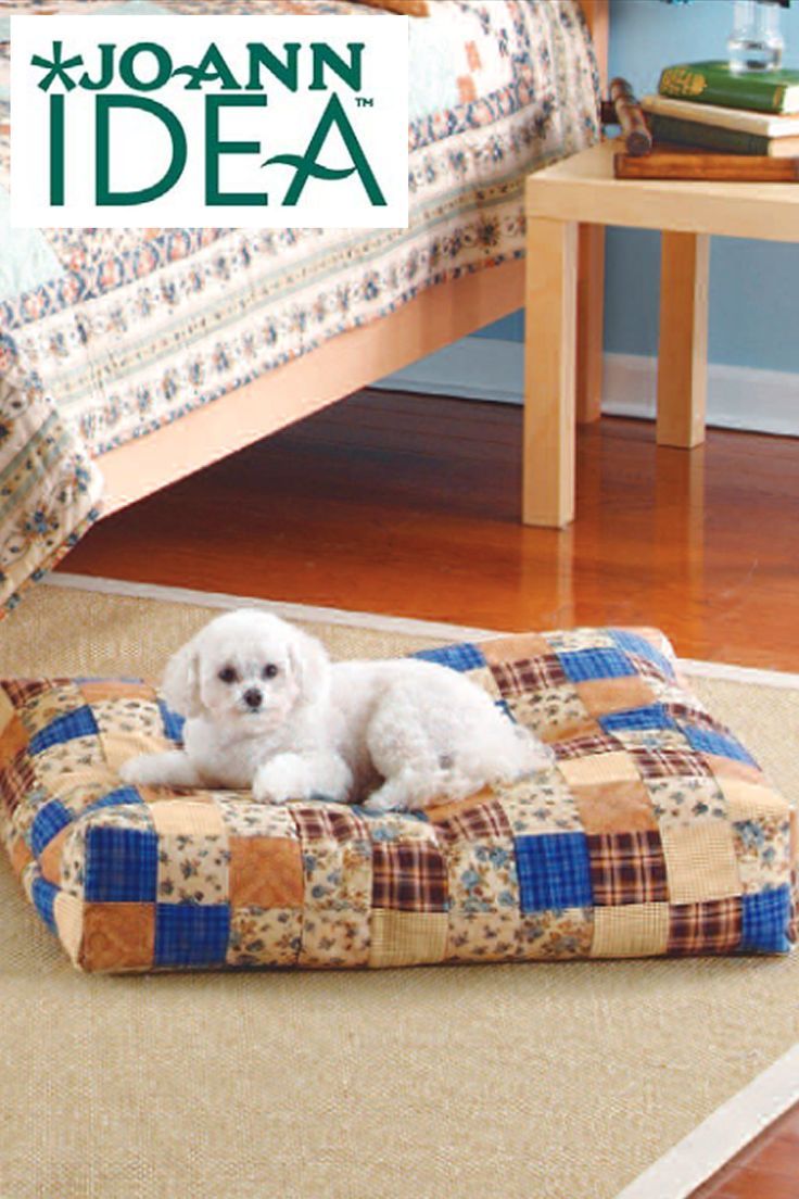 a small white dog laying on top of a bed in a bedroom next to a wooden floor