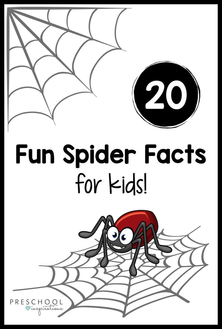 a spider with the words fun spider fact for kids on it's front cover