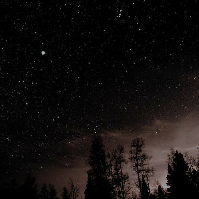 the night sky is filled with stars and trees