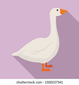 a white goose with orange feet standing in front of a purple background and long shadow