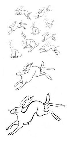 Bunnies Running Hare Illustration, Hare Art Illustrations, Hare Line Drawing, Hare Reference, Hare Sketch, Hare Tattoo, Hare Drawing, Hare Illustration, Hare Art