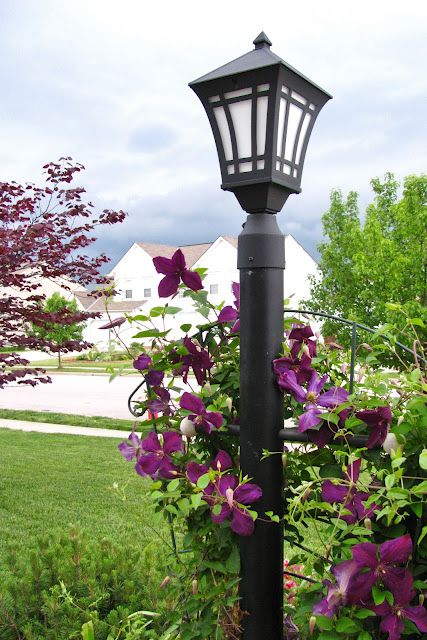 a lamp post with purple flowers growing on it