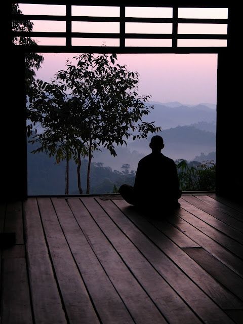 a man sitting on top of a wooden floor in front of a window next to a tree