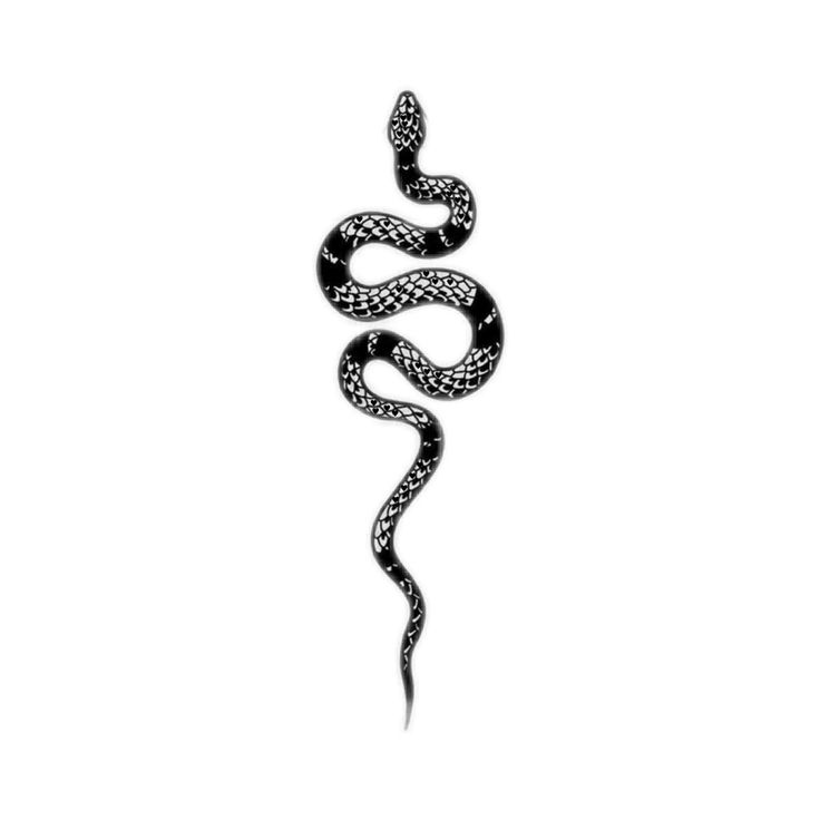 a black and white snake on a white background