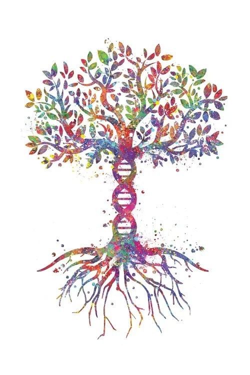 a tree with colorful leaves and roots in the shape of a human figure on a white background