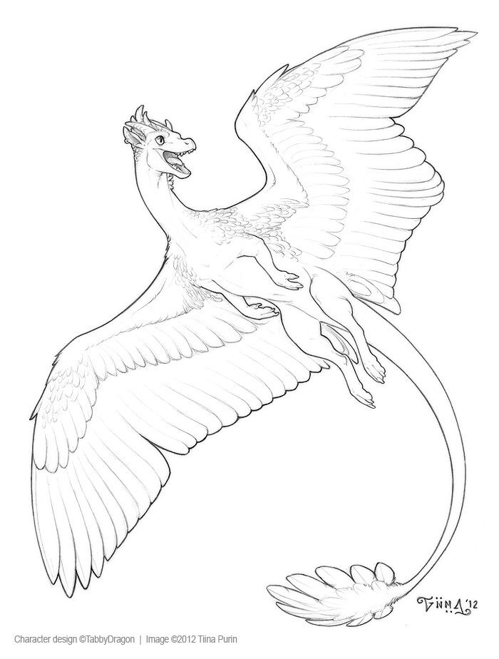 a drawing of a bird flying with its wings spread