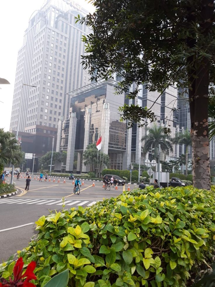 a city street with tall buildings in the background and green plants growing on the sidewalk