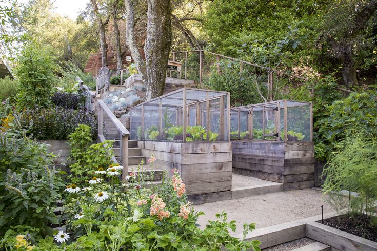 an outdoor garden area with various plants and steps leading up to the top of it