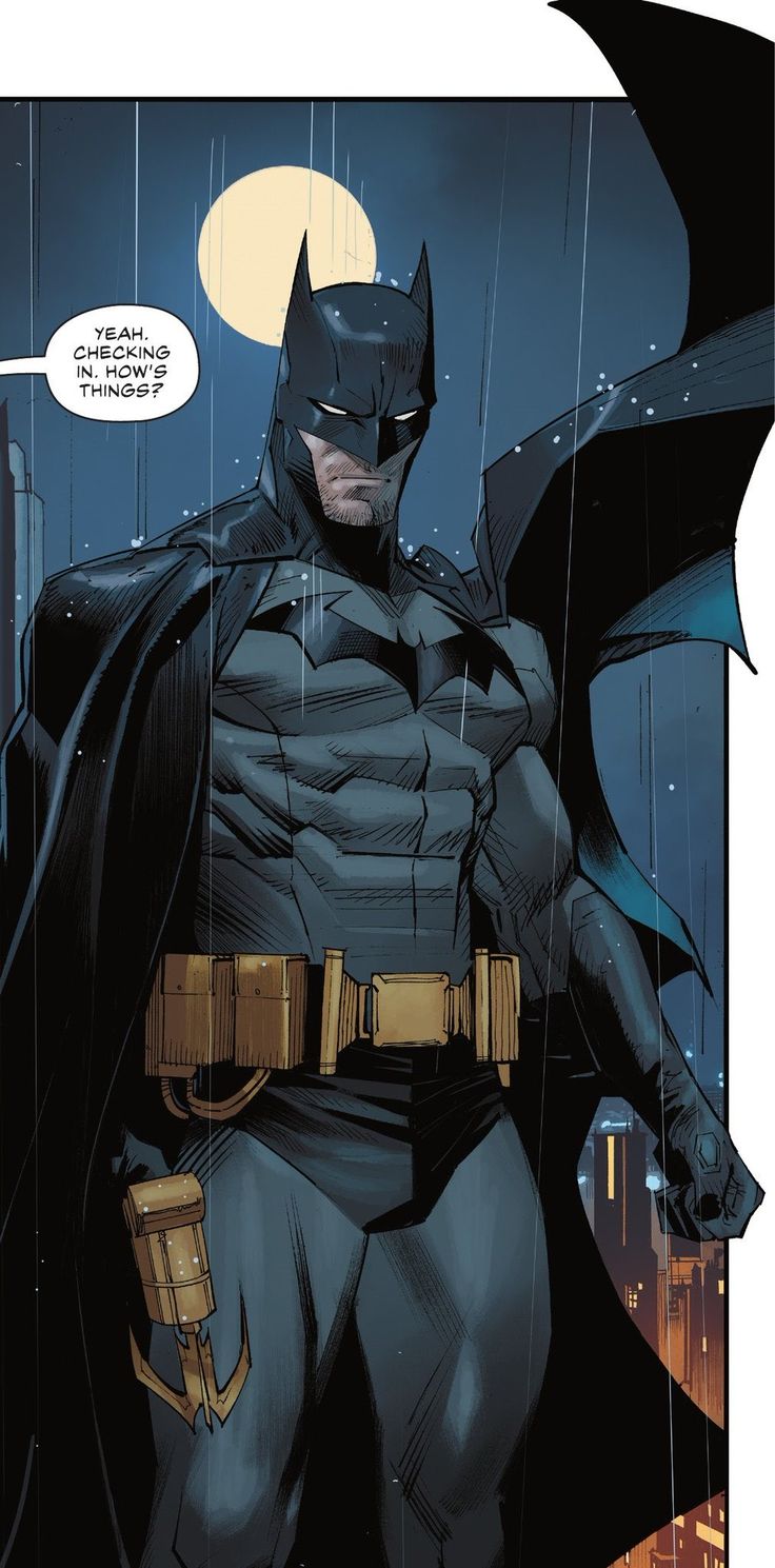 the batman is standing in the rain