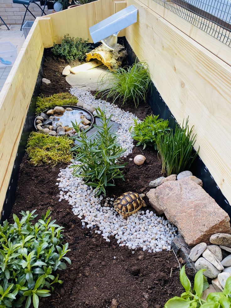 a small garden with rocks and plants in it