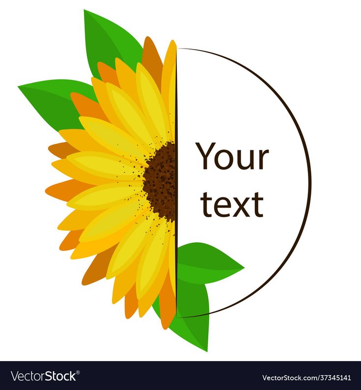 a yellow sunflower with green leaves in the center and an empty circle for your text