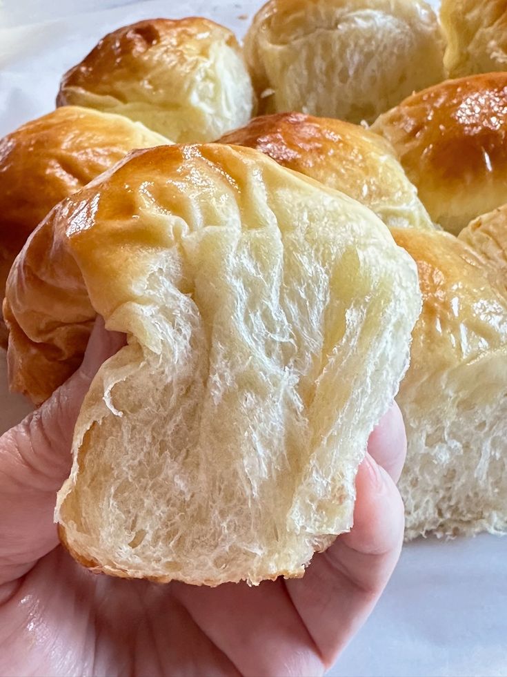 a person holding a piece of bread in their hand