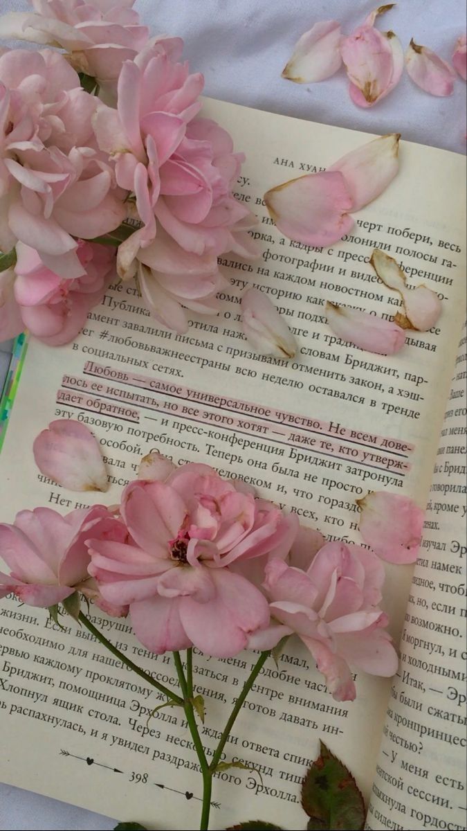 pink flowers on top of an open book