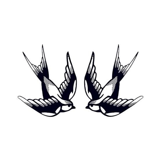 two black and white birds flying side by side in the air with their wings spread out