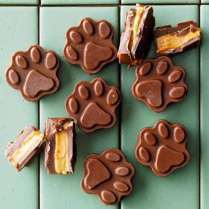 chocolate treats with paw prints on them sitting on a green tile floor next to slices of cake