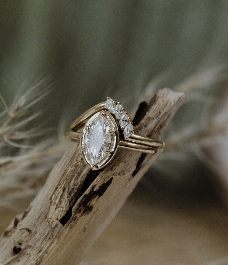 a close up of a ring on a piece of wood with feathers in the background