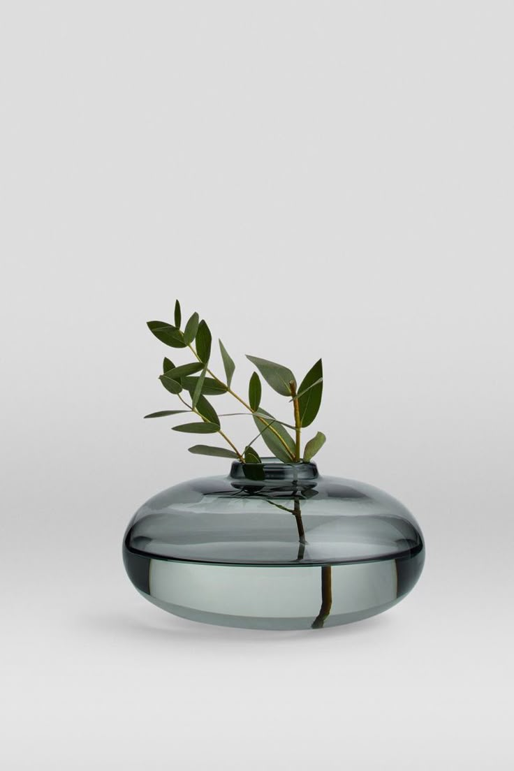 a glass vase with a small plant in it's centerpiece on a white surface