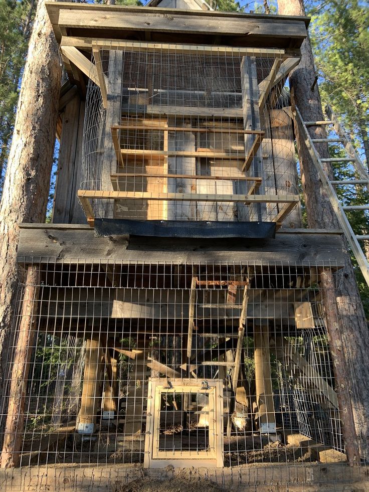 a wooden structure with metal bars on the top and bottom, surrounded by tall trees