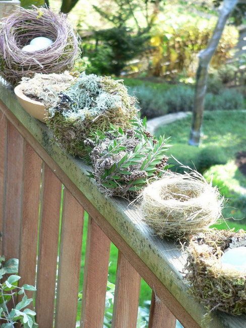 some moss is growing on the side of a wooden fence with two birds nests