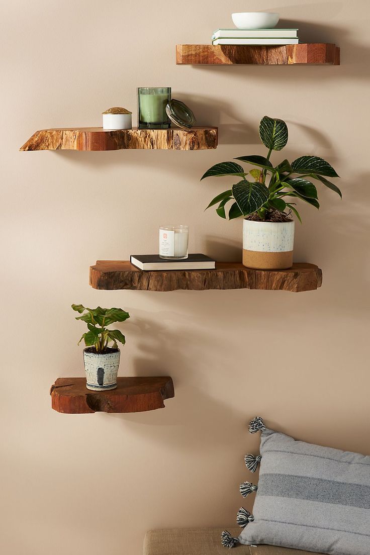 three wooden shelves with plants and books on them