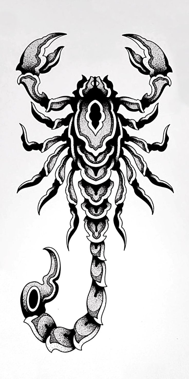 a black and white drawing of a scorpion with two claws on it's back