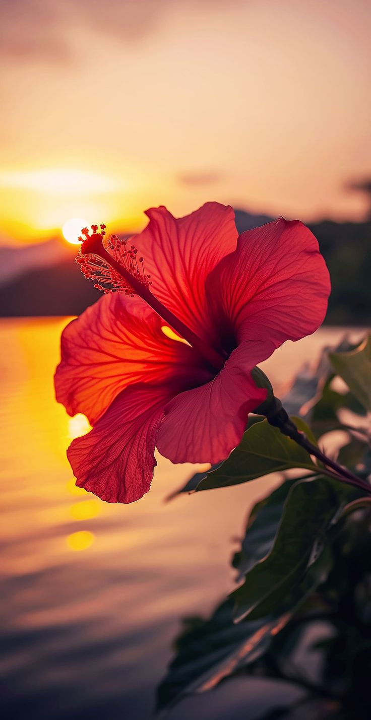 a pink flower sitting on top of a lush green leaf covered tree next to the ocean