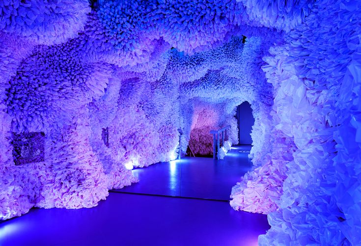 an indoor area with purple and white flowers on the walls, lit up by blue lights