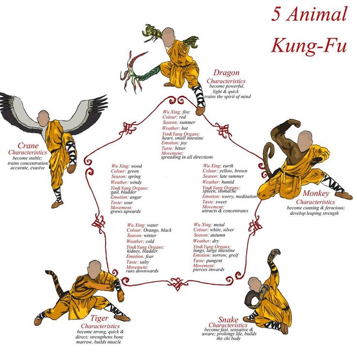 the five animal kunng - fus are arranged in a circle with their names