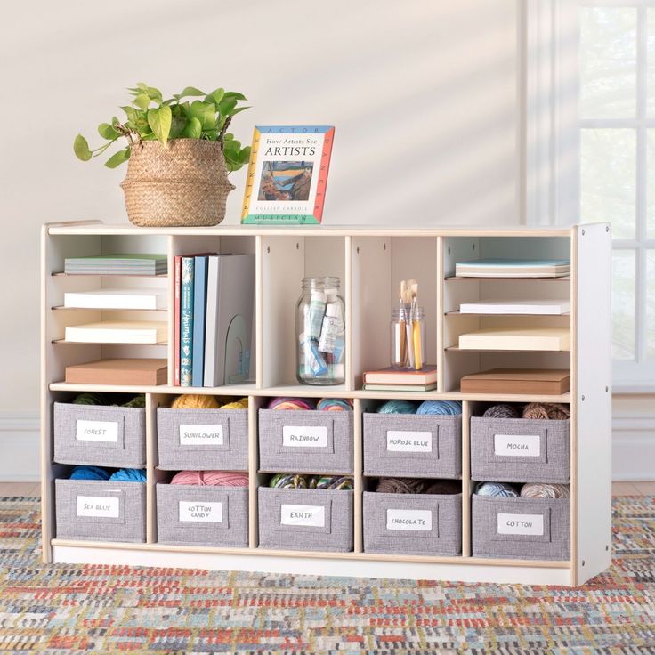 a book shelf filled with lots of books next to a potted plant on top of a rug