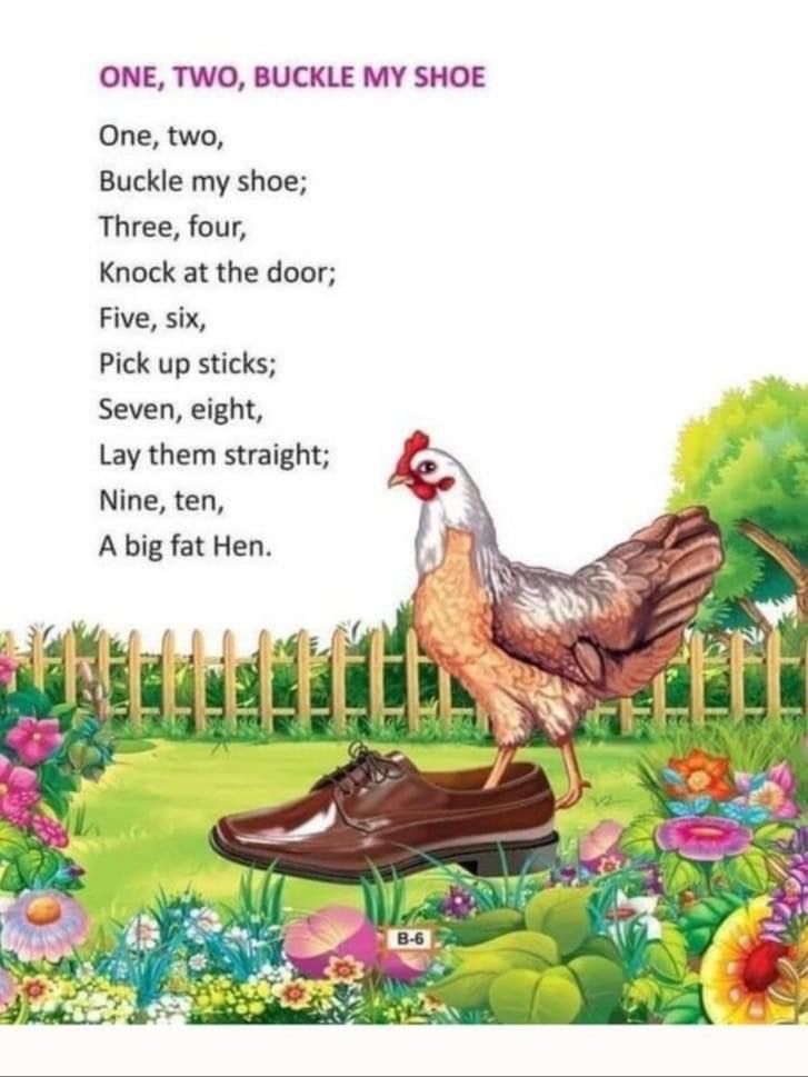 a chicken standing on top of a pair of shoes in front of a flower garden